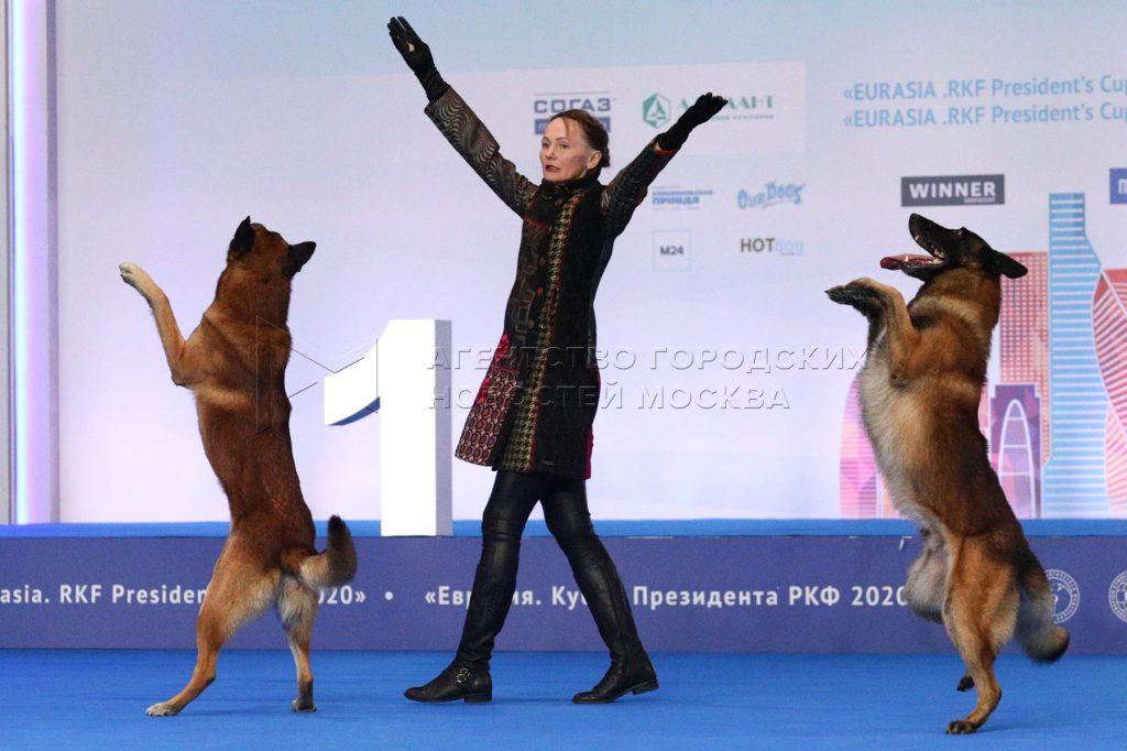 Танцы собак на конкурсе «Евразия-2021» в Москве .
